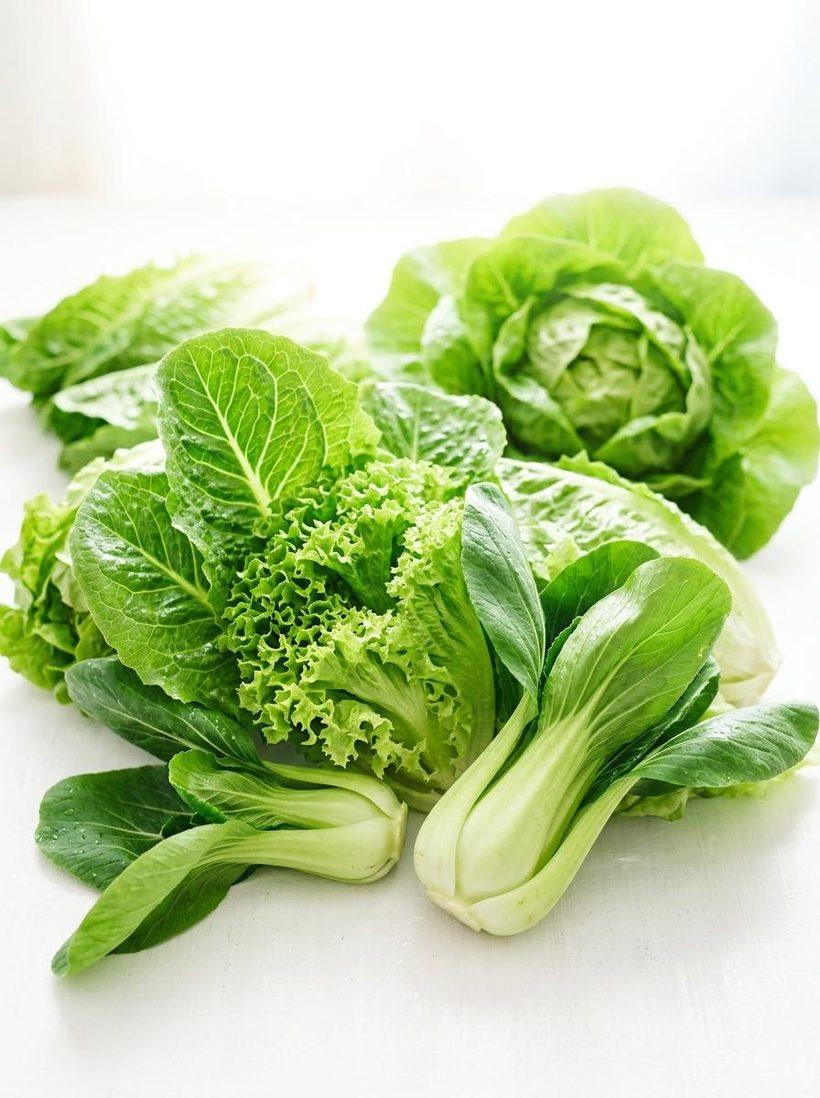 Fresh leafy vegetables ready to be boxed